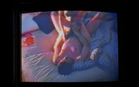 Секс в большом городе / Sex and the City (сезон 1) (1998)