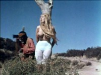 Дикие девочки с голого запада / Wild Gals of the Naked West (1962)